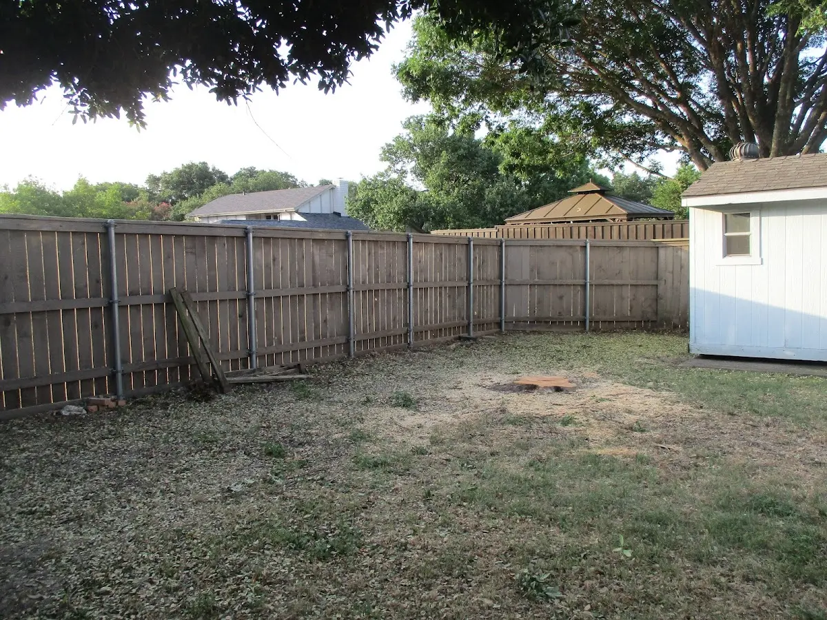 Cleared yard after professional tree removal in Pine Mountain Club