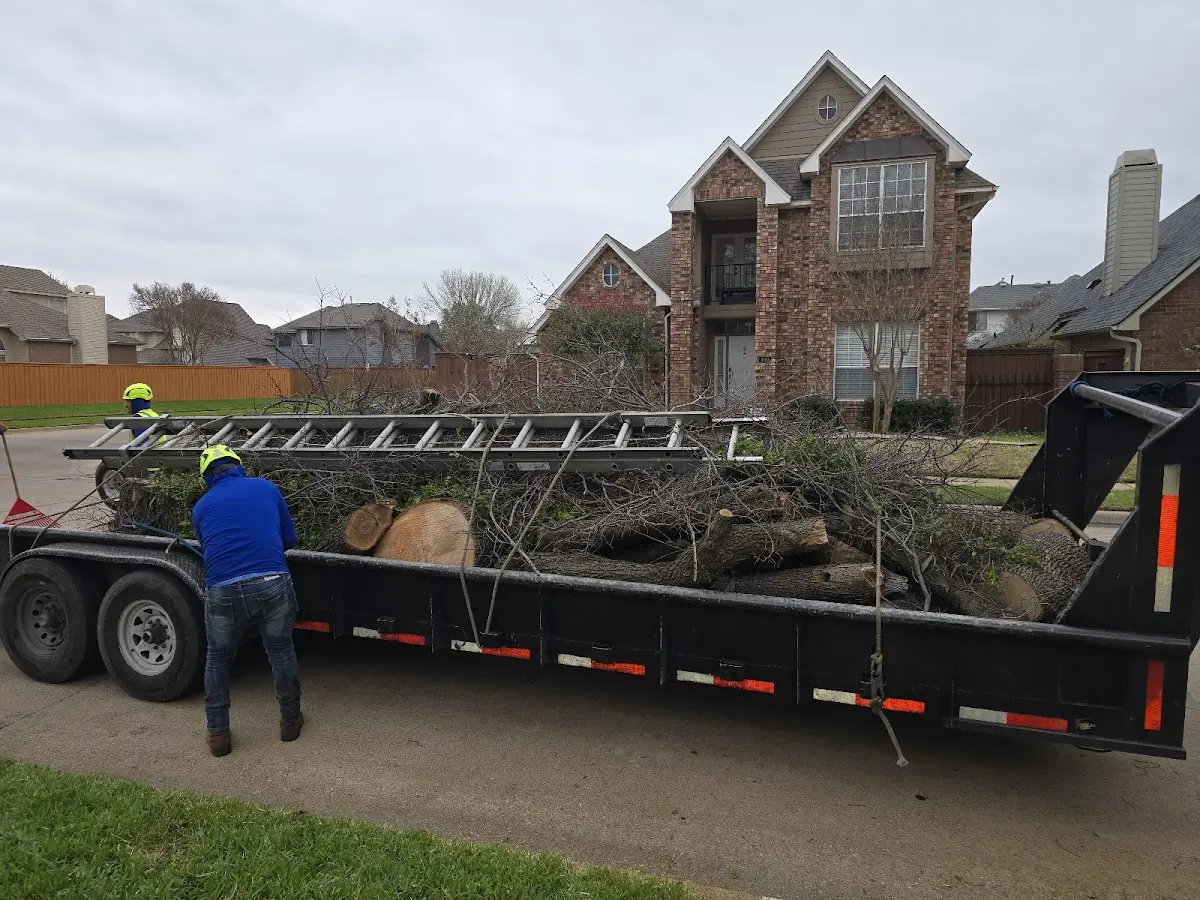 Expert Tree Removal with proper safety equipment in Pine Mountain Club